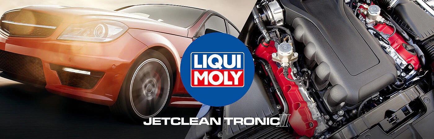 Professionelle Motorreinigung